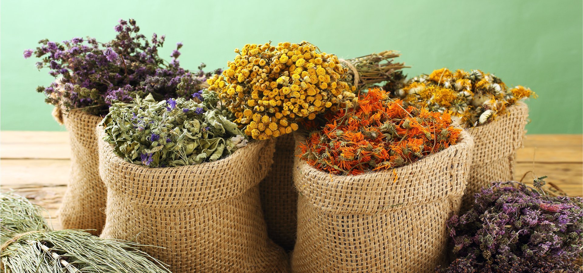 Organic Herbal Solutions for Your Life